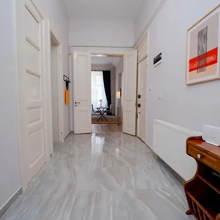 Spacious 3-bedroom, 2-bathroom With High Ceilings Appartement Istanboel