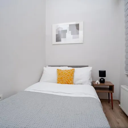 Spacious 3-bedroom, 2-bathroom With High Ceilings Apartment Istanbul